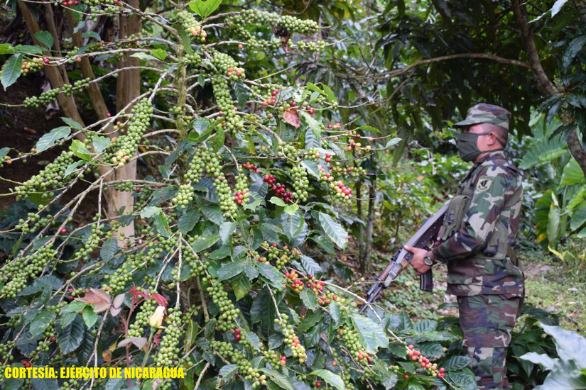 ejercito